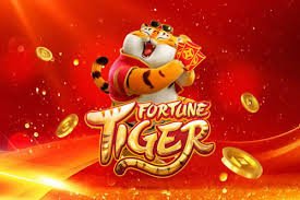 casino dhaka প্ল্যাটফর্মের পরিচিতি ও দলের কার্যক্রম