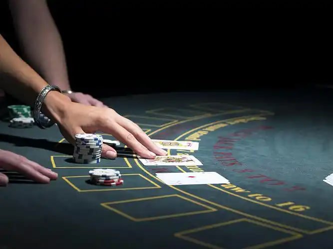 casino dhaka বিঙ্গো লাইভ রুমে বাংলাদেশি খেলোয়াড়রা অনলাইনে অংশ নিচ্ছেন